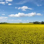 Ferienwohnungen Goehren Daire