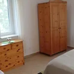Ferienwohnungen Goehren Daire Goehren (Ruegen)