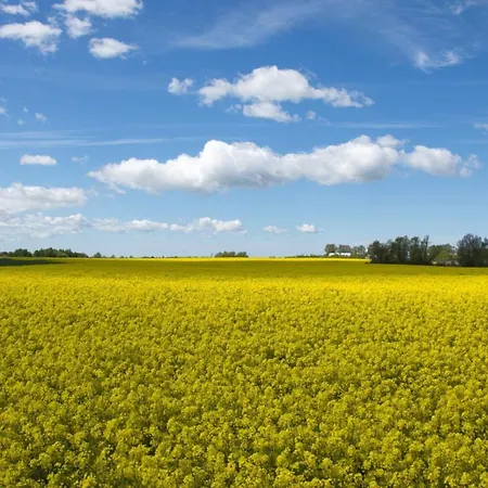 Ferienwohnungen Goehren Apartment
