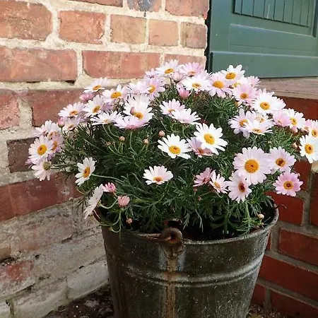 Apartmán Ferienwohnungen Goehren *